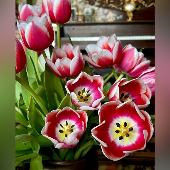 Meet your Posher, Cristina - Picture 3 of 16